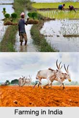 Farming in Indian Villages, Indian Villages