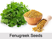 Fenugreek Seeds, Types of Spice