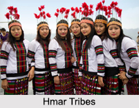 Hmar Tribes, Tribes of Manipur