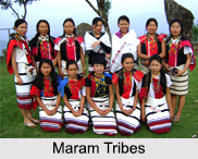 Maram Tribes, Tribes of Manipur