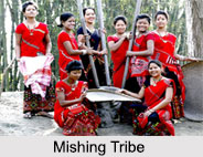 Mishing Tribes, Tribes of Assam