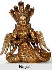 Nagas, Indian Mythology