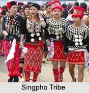 Singpho Tribe, Tribes of Arunachal Pradesh