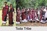 Toda Tribe, Tribes of Karnataka