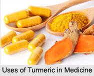 Uses of Turmeric in Medicine, Indian Spice