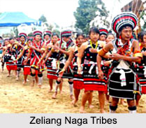 Zeliang Naga Tribes, Tribes of Nagaland