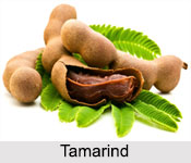 Tamarind Pulp, Indian Spices