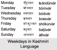 Kashmiri Language, Indian Languages