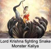 Evil and Demon Spirits in Hindu Mythology