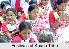 Festivals of Kharia Tribe