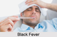 Black Fever or Kala Jwara