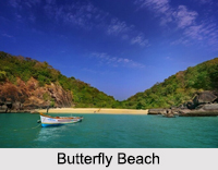 Butterfly Beach, Goa