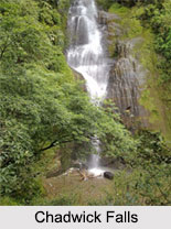 Chadwick Falls, Shimla
