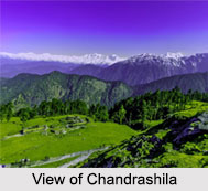 Chandrashila Trek in Garhwal