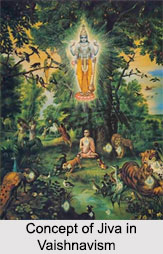 Concept of Jiva or Individual Self, Vaishnavism