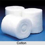 Cotton, Indian Fibre