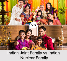 Indian Family Structure, Indian Society
