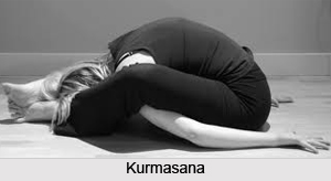 Kurmasana, Cultural Asana