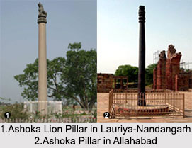 Pillars of Ashoka, Monument of Delhi
