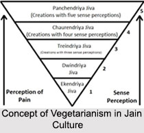 Vegetarianism in Jain Culture
