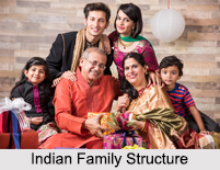 Indian Family Structure, Indian Society