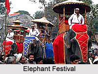 Festivals of Assam