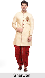 Indian Traditional Costume
