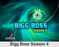 Bigg Boss Season 4, Indian Reality Show