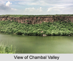 Chambal Valley, Madhya Pradesh