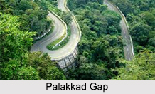 Paladkka Gap, Western Ghats