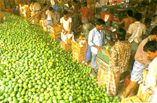 Economy of Maharashtra