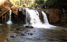 narmada river called DudhDhara