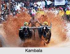 Religious Festivals in Karnataka