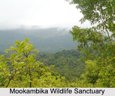 Wildlife Sanctuaries of Karnataka