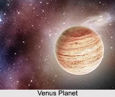 Position of Venus Planet in Birth-Chart
