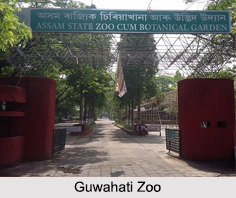 Guwahati Zoo, Assam