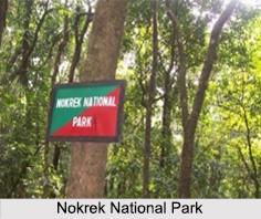 Nokrek National Park, West Garo Hills District, Meghalaya