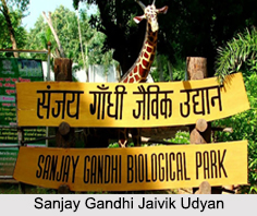 Sanjay Gandhi Jaivik Udyan, Patna, Bihar