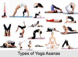 Types of Yoga Asanas