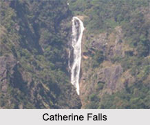 Waterfalls in Tamil Nadu