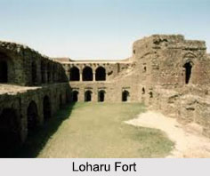 Loharu Fort, Bhiwani District, Haryana