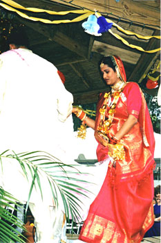 North Indian Wedding, Indian wedding