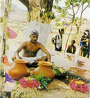Festival of Sarhul