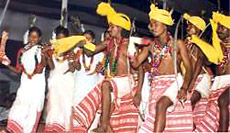 Dance of Santhal Tribe