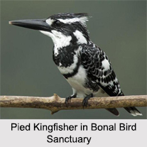 Bird Sanctuaries in Karnataka