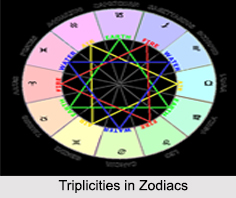 Concepts in Zodiacs