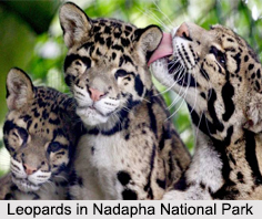 Wildlife Sanctuaries of Arunachal Pradesh