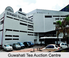 Guwahati Tea Auction Centre, Guwahati, Assam