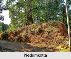 Nedumkotta, Kerala
