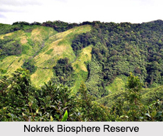 Nokrek Biosphere Reserve, Meghalaya